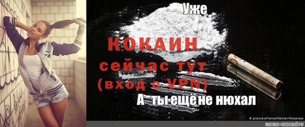 прущие крисы Каменногорск